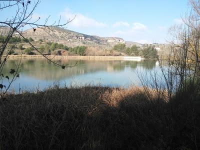 Itinerario ornitológico por el día de los humedales Itinerario ornitológico por el día de los humedales