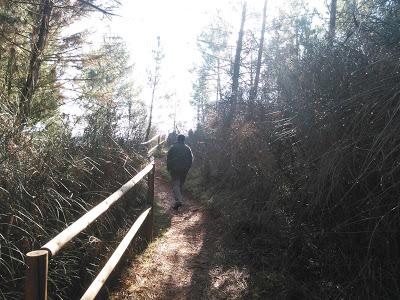 Itinerario ornitológico por el día de los humedales Itinerario ornitológico por el día de los humedales