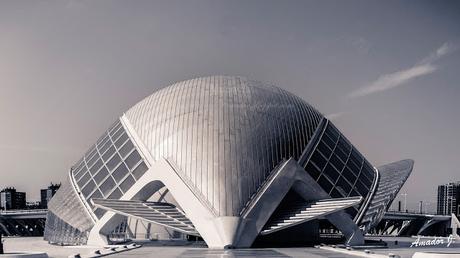 VALENCIA: ARQUITECTURA -CIUDAD DE LAS ARTES Y LAS CIENCIAS- PARTE I