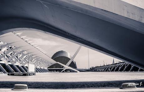 VALENCIA: ARQUITECTURA -CIUDAD DE LAS ARTES Y LAS CIENCIAS- PARTE I