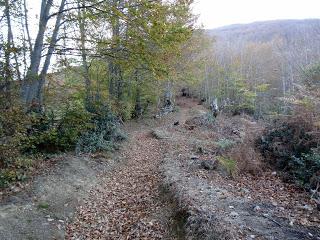 Coriscao-La Tabierna-Picón de la Mostayera-Retriñón