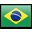 Portuguese Portuguese