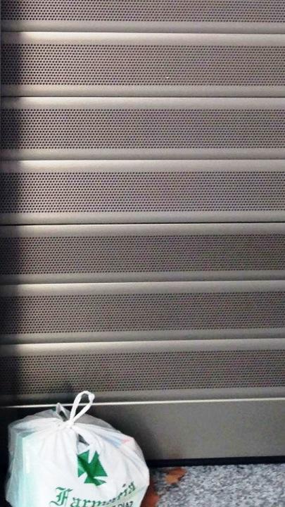 Tigre no!... Sigre!... Sigre! Tigre no!... Sigre!... Sigre!