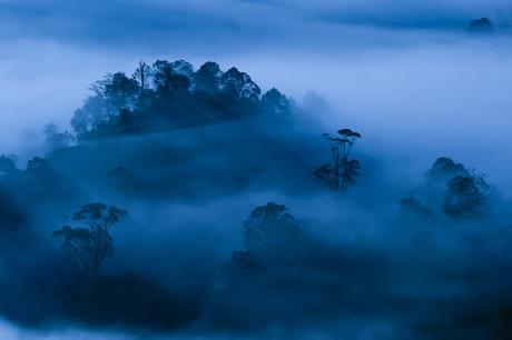 Kalyan Varma, el trabajo de un enamorado de la naturaleza Kalyan Varma, el trabajo de un enamorado de la naturaleza