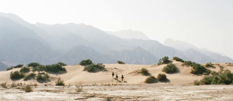 Theeb - 2014 Theeb - 2014