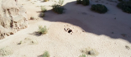 Theeb - 2014 Theeb - 2014