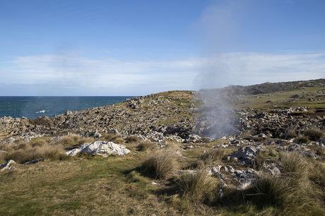 Bufones de Arenillas