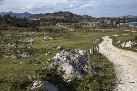 Bufones de Arenillas