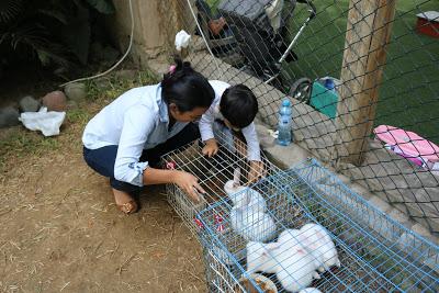 ¡Visita a La Huerta de Pachacamac! ¡Visita a La Huerta de Pachacamac!