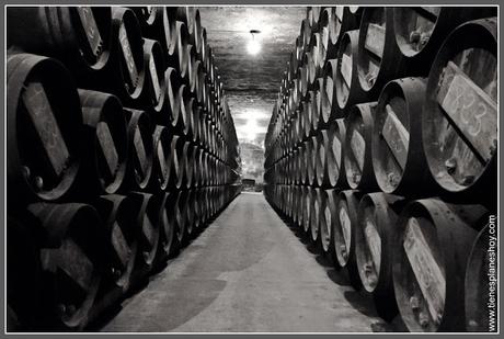 Bodega Lopez de Heredia en La Rioja