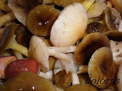 SETAS FRESCAS (o no) SALTEADAS SETAS FRESCAS (o no) SALTEADAS