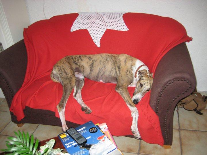 Historias de adoptados. Sergi Historias de adoptados. Sergi