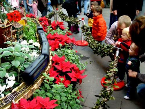 Anota tu teléfono en el brazo de tu hijo Anotar el teléfono en el brazo o utilizar pulseras identificativas