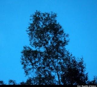 Gate : Republic of Sadness (Ba Da Bing,2010) Gate : Republic of Sadness (Ba Da Bing,2010)