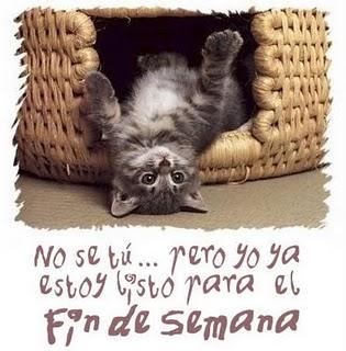 Nuevos descubrimientos Nuevos descubrimientos