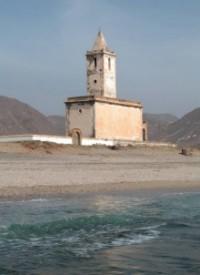 Un símbolo del Parque Natural Cabo de Gata-Níjar