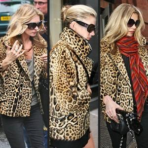 Print Leopard Print Leopard