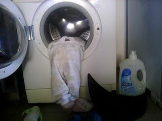 Uds. no me entienden. Uds. no me entienden.