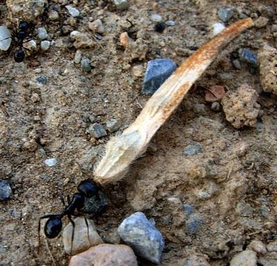 HAZ PLANES DE TRABAJO Y CUMPLELOS HAZ PLANES DE TRABAJO Y CUMPLELOS