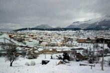 María, entre pinos y nieve María, entre pinos y nieve