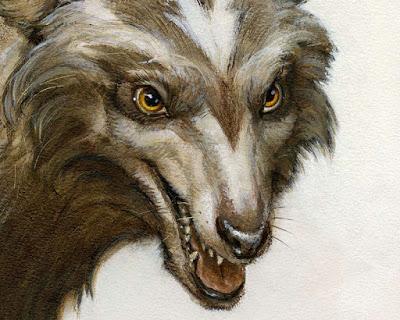 Mascotas de libro: Acho Mascotas de libro: Acho