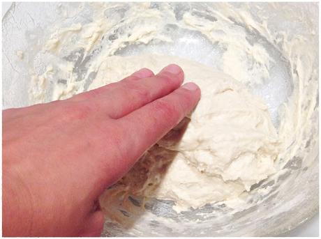 PAN BLANCO CON MASA MADRE PAN BLANCO CON MASA MADRE