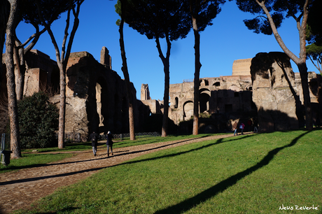 Mi viaje a Roma (III parte) Mi viaje a Roma (III parte)