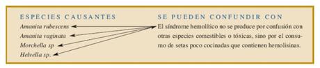 Elige bien a tu comensal... hoy con síndrome hemolítico leve y grave Elige bien a tu comensal... hoy con síndrome hemolítico leve y grave