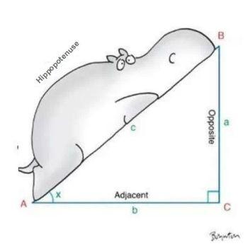 hippopotenuse