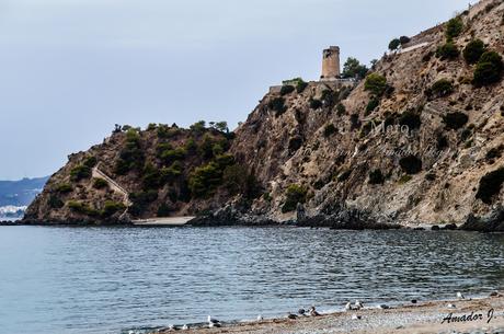 MARO (MÁLAGA): ACANTILADOS DE MARO -CALA DEL CAÑUELO-