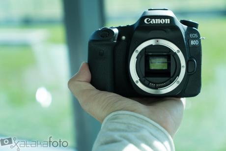 Canon EOS 80D: llega un relevo con más megapíxeles y puntos de enfoque Dsc05256 4