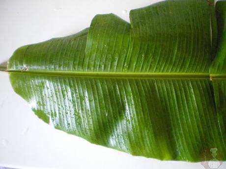 Hoja de platanero Hoja de platanero