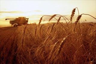 Cooperativas, un instrumento transformador Cooperativas, un instrumento transformador