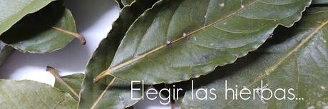 DIY: SAQUITOS TÉRMICOS CON SEMILLAS DIY: SAQUITOS TÉRMICOS CON SEMILLAS