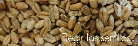 DIY: SAQUITOS TÉRMICOS CON SEMILLAS DIY: SAQUITOS TÉRMICOS CON SEMILLAS