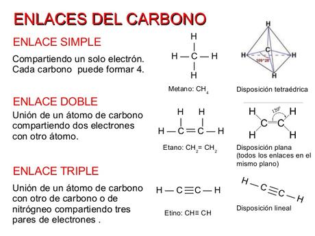 ¿Por qué el plástico no es biodegradable?