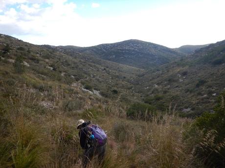 Parc del Garraf: Pla d'en Querol, el Rascler, la Bena, Mala-rases, Cocons de Vallgrassa Parc del Garraf: Pla d'en Querol, el Rascler, la Bena, Mala-rases, Cocons de Vallgrassa