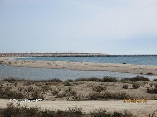 Parque Agrario y Delta del Llobregat  21/02/2016