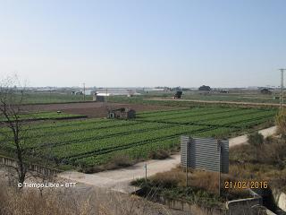 Parque Agrario y Delta del Llobregat  21/02/2016