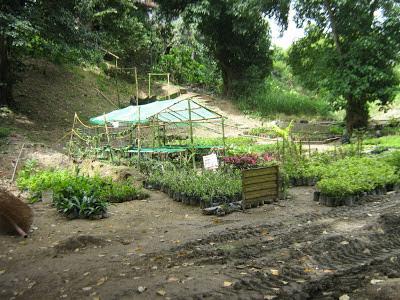 EL RECREO - ESCUELA DE AGRICULTURA URBANA entró en funcionamiento en el Parque Arístides Rojas de la Urbanización Maripérez