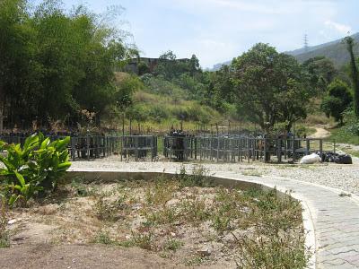 EL RECREO - ESCUELA DE AGRICULTURA URBANA entró en funcionamiento en el Parque Arístides Rojas de la Urbanización Maripérez