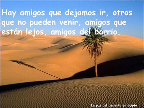 Los amigos Nos Acompañan En Distintos Momentos Amigos