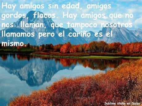 Los amigos Nos Acompañan En Distintos Momentos Amigos