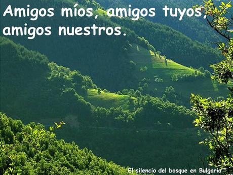 Los amigos Nos Acompañan En Distintos Momentos Amigos