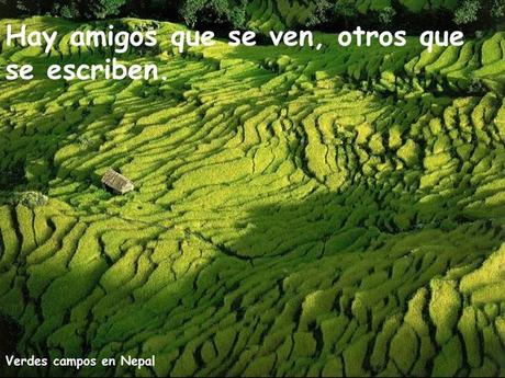 Los amigos Nos Acompañan En Distintos Momentos Amigos