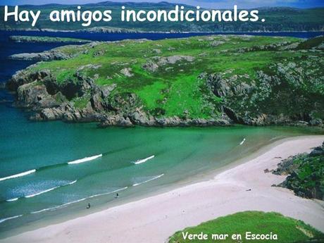 Los amigos Nos Acompañan En Distintos Momentos Amigos