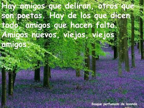 Los amigos Nos Acompañan En Distintos Momentos Amigos
