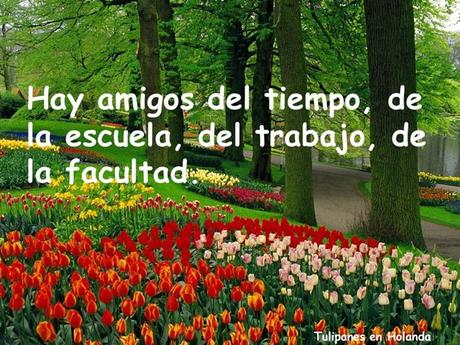 Los amigos Nos Acompañan En Distintos Momentos Amigos