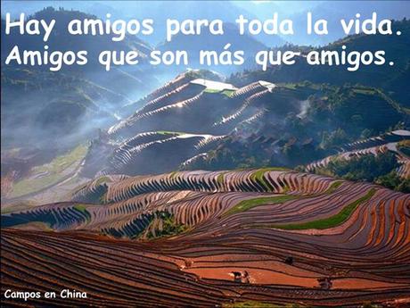 Los amigos Nos Acompañan En Distintos Momentos Amigos