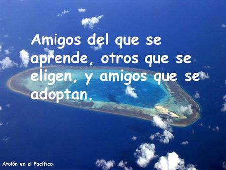 Los amigos Nos Acompañan En Distintos Momentos Amigos